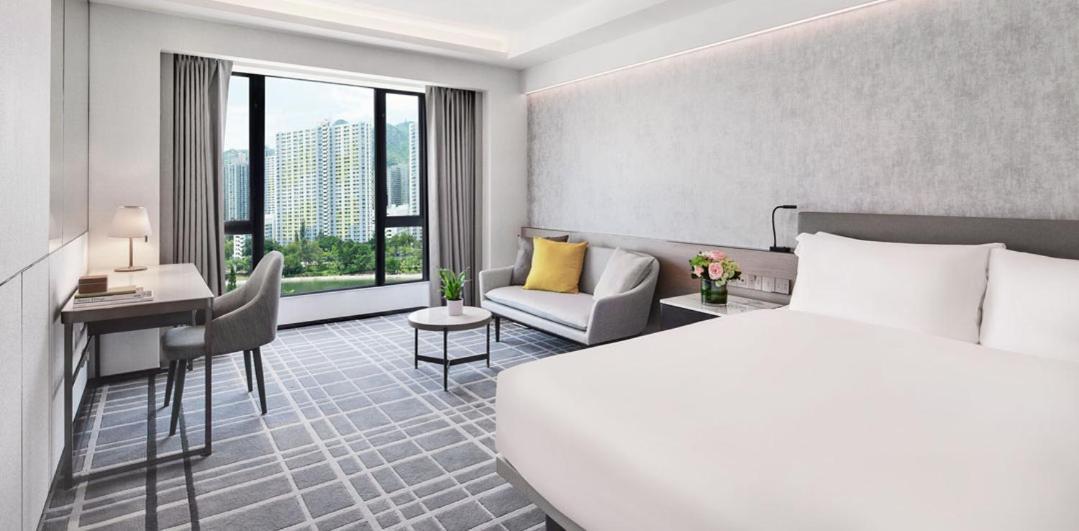 Premier Room,1232662472:JPEG